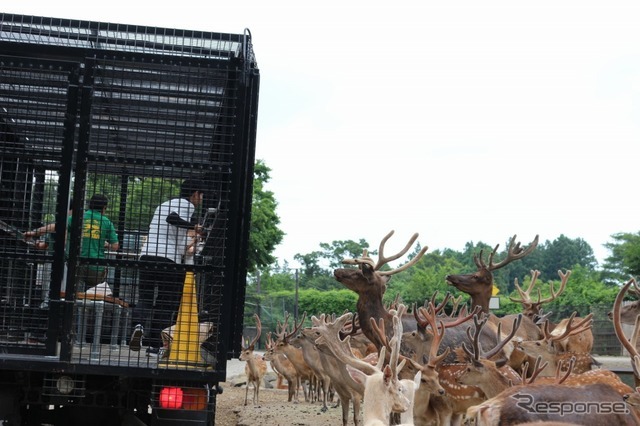 那須サファリパーク アクティビティバス「WILD RIDE」