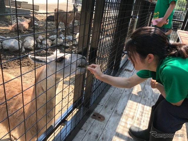 那須サファリパーク アクティビティバス「WILD RIDE」