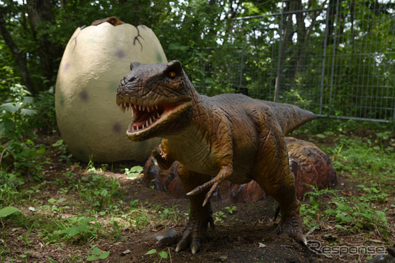 富士ジュラシックウェイ