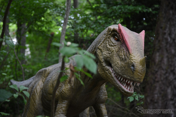 富士ジュラシックウェイ