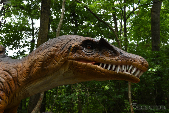 富士ジュラシックウェイ