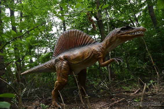 富士ジュラシックウェイ