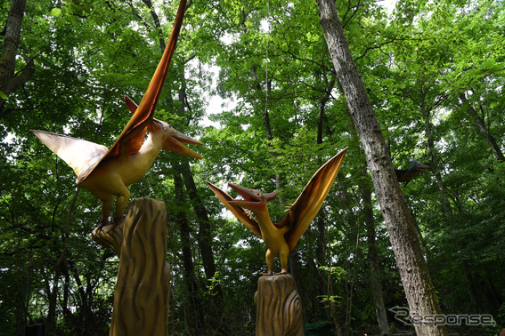 富士ジュラシックウェイ