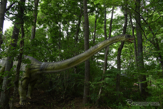 富士ジュラシックウェイ