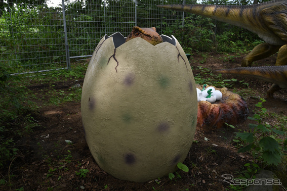 富士ジュラシックウェイ