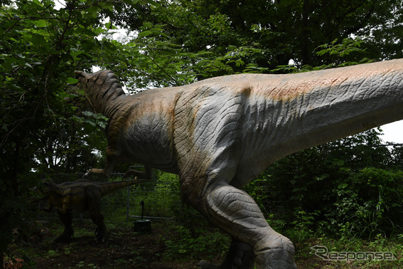 富士ジュラシックウェイ