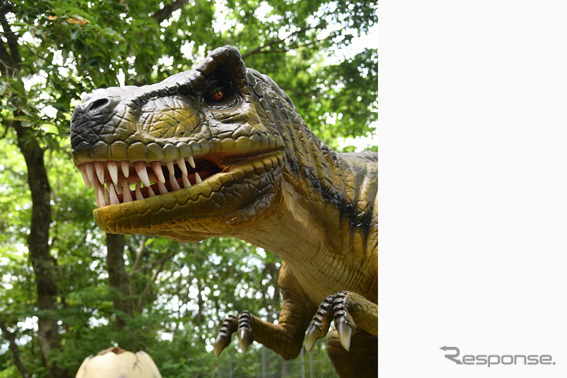 富士ジュラシックウェイ