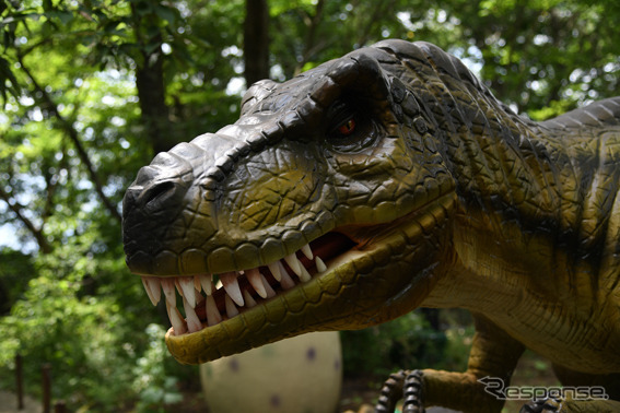 富士ジュラシックウェイ