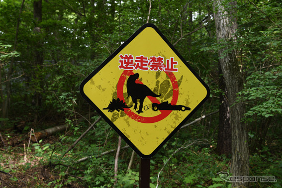 富士ジュラシックウェイ