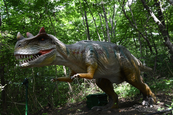 富士ジュラシックウェイ