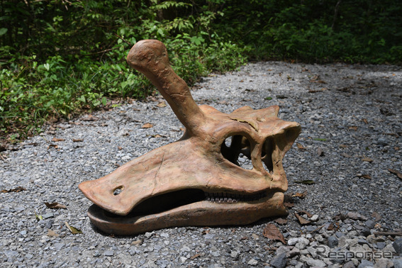 富士ジュラシックウェイ