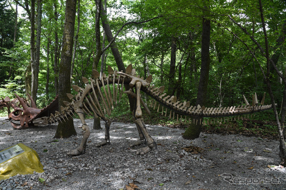 富士ジュラシックウェイ