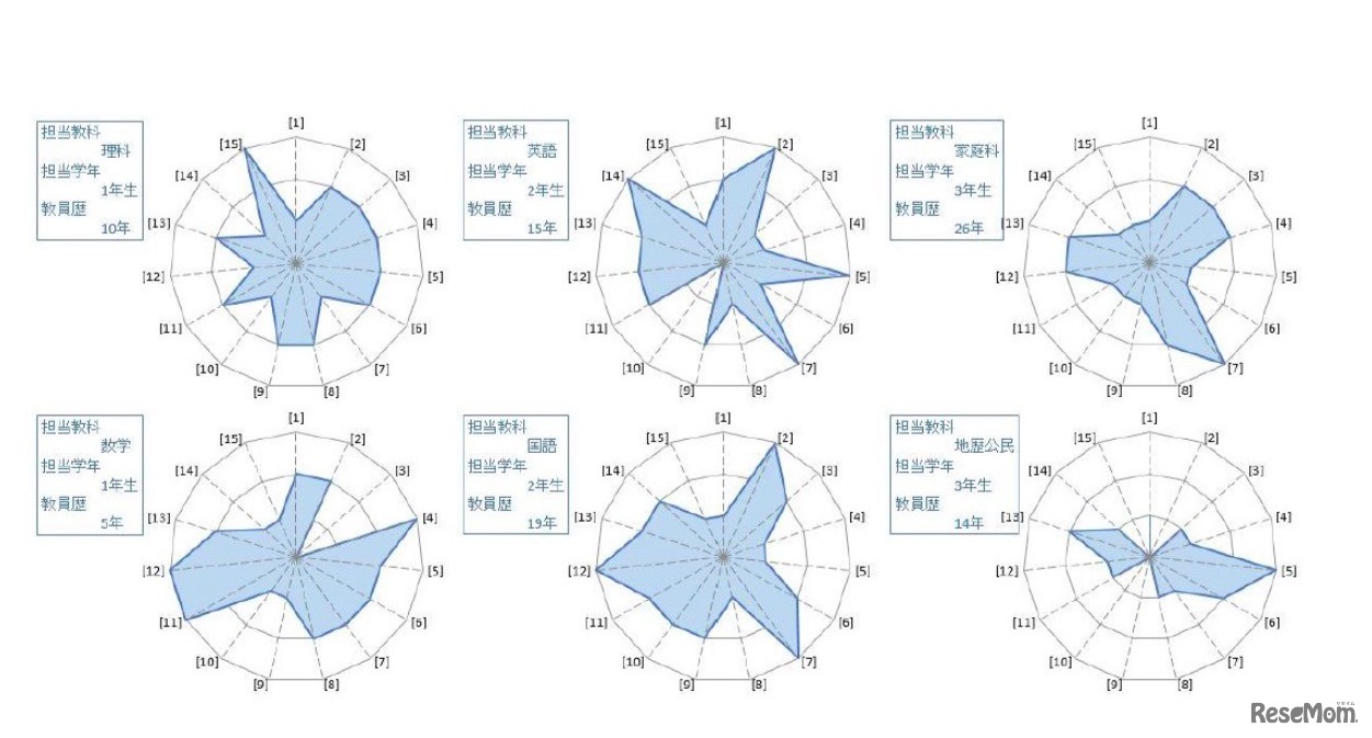 ALPアセスメントの結果例