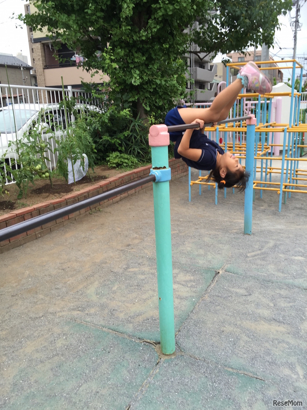 体操（イメージ）