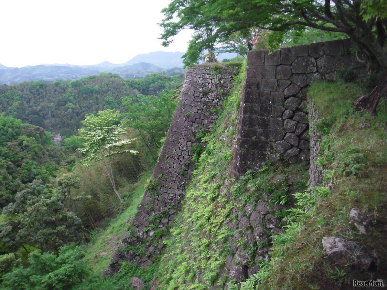 ランキング初登場　18位：岡城阯（大分県竹田市）