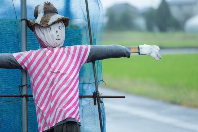 ワークショップや見学