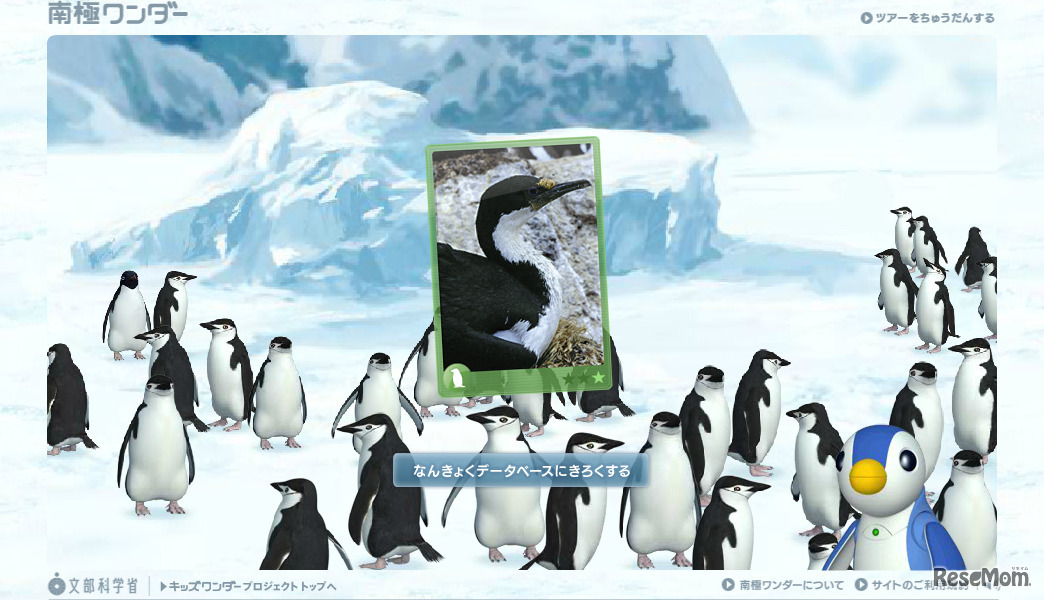 まよいペンギンを探そう
