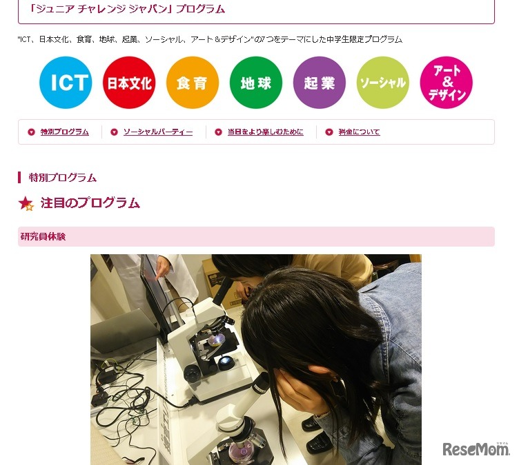 特別プログラムの例