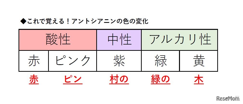これで覚える！アントシアニンの色の変化　監修：SS-1　辻義夫先生