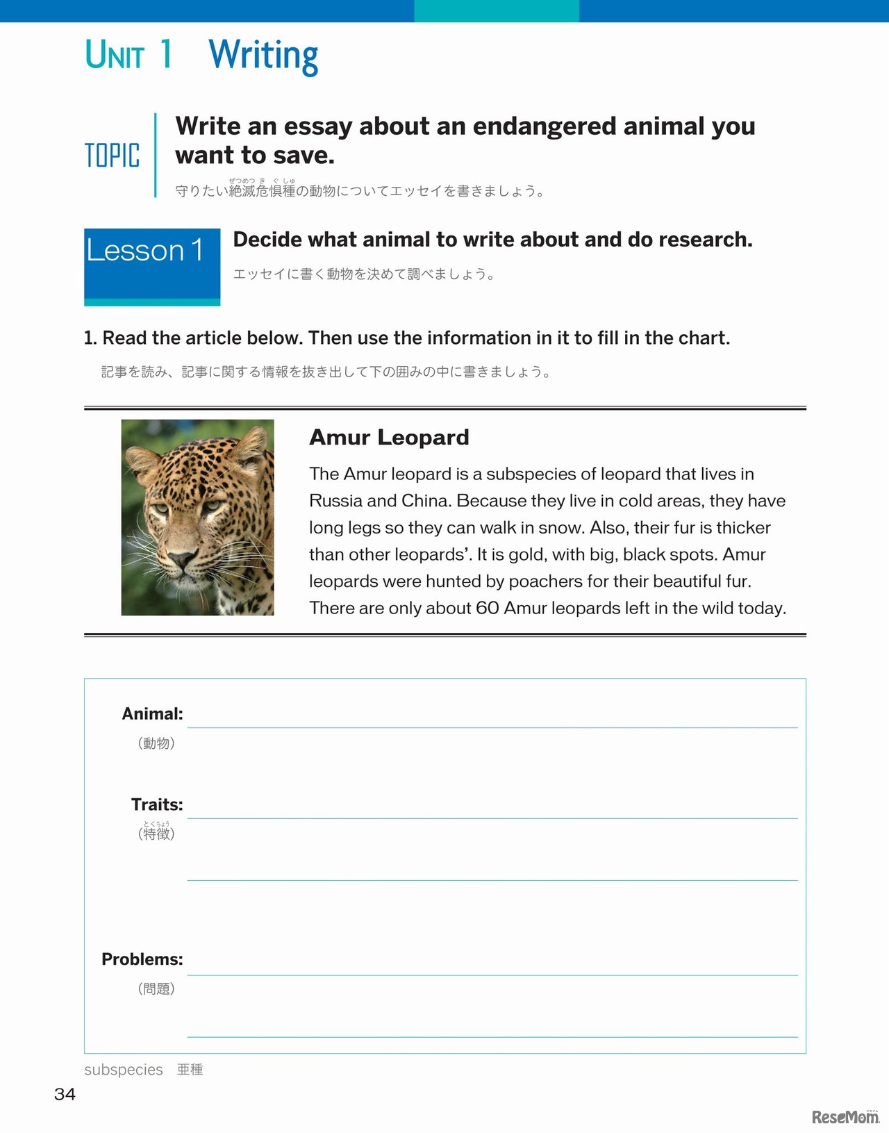 「English Journey」Writingページのイメージ