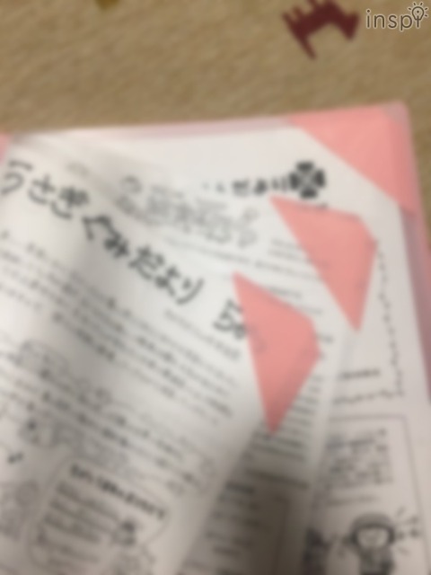 ポケット毎に、それぞれのお便りをしまっていけば毎月のお便りがぐちゃぐちゃになることなく、1つのファイルですっきり管理