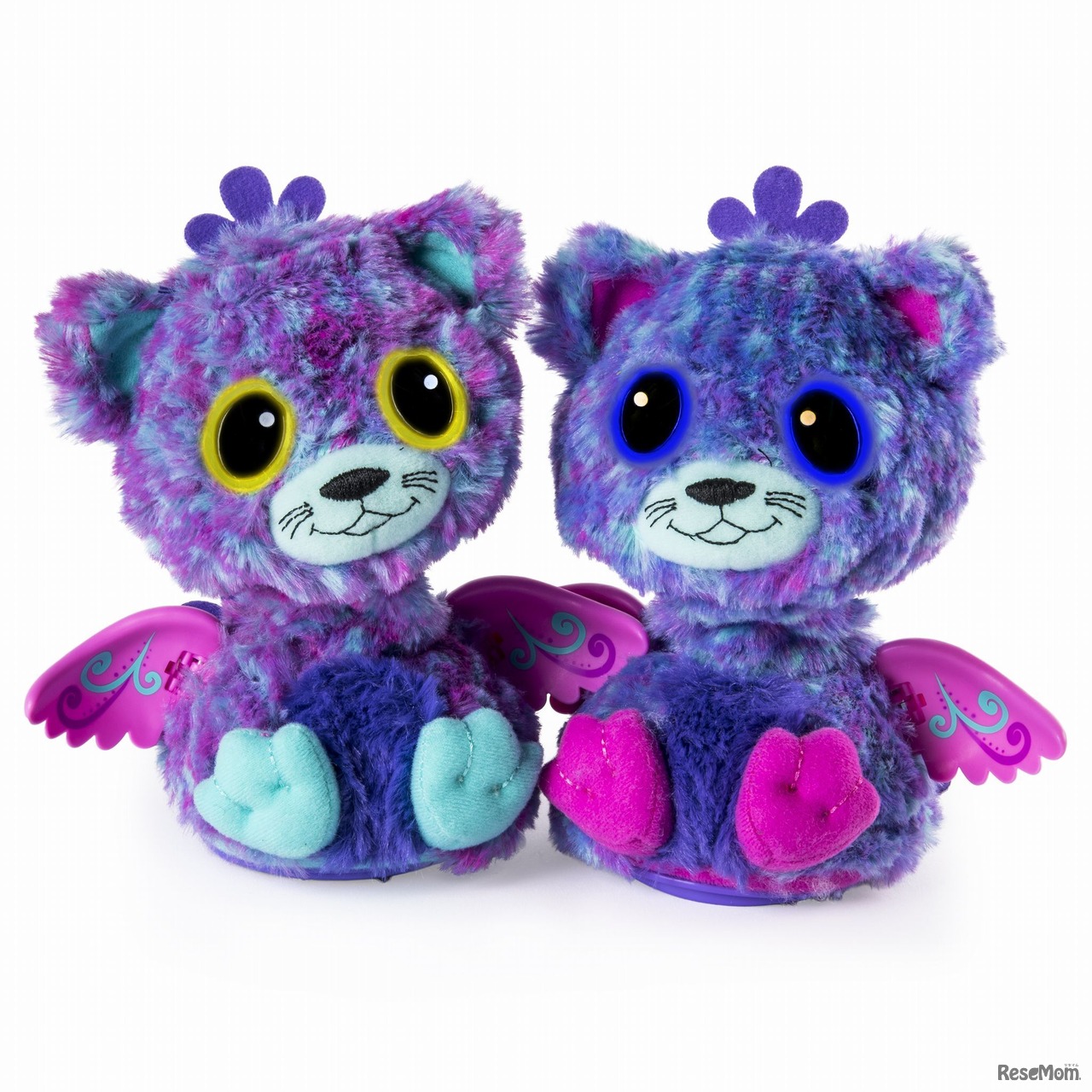 「うまれて！ウーモ ワォ」ブルー＆パープル