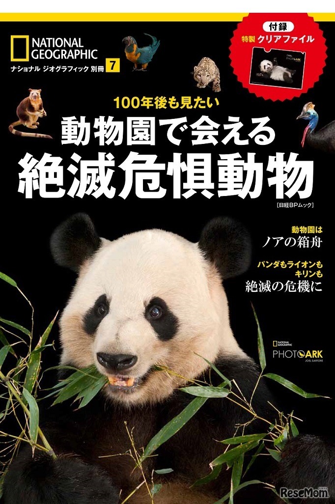100年後も見たい動物園で会える絶滅危惧動物