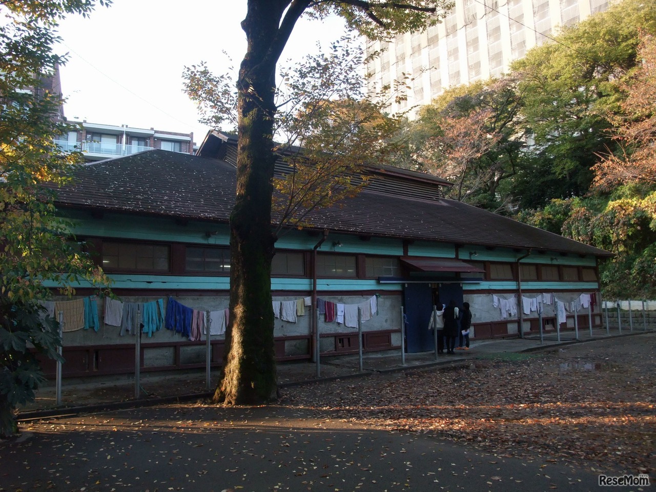 周りはマンションなどに囲まれてしまった厩舎