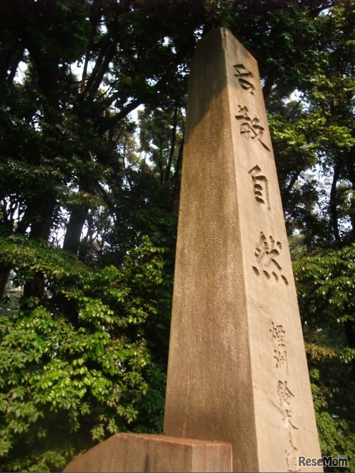 表の文字は鈴木自身の筆