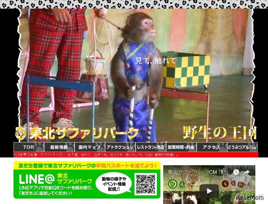 野生の王国　東北サファリパーク