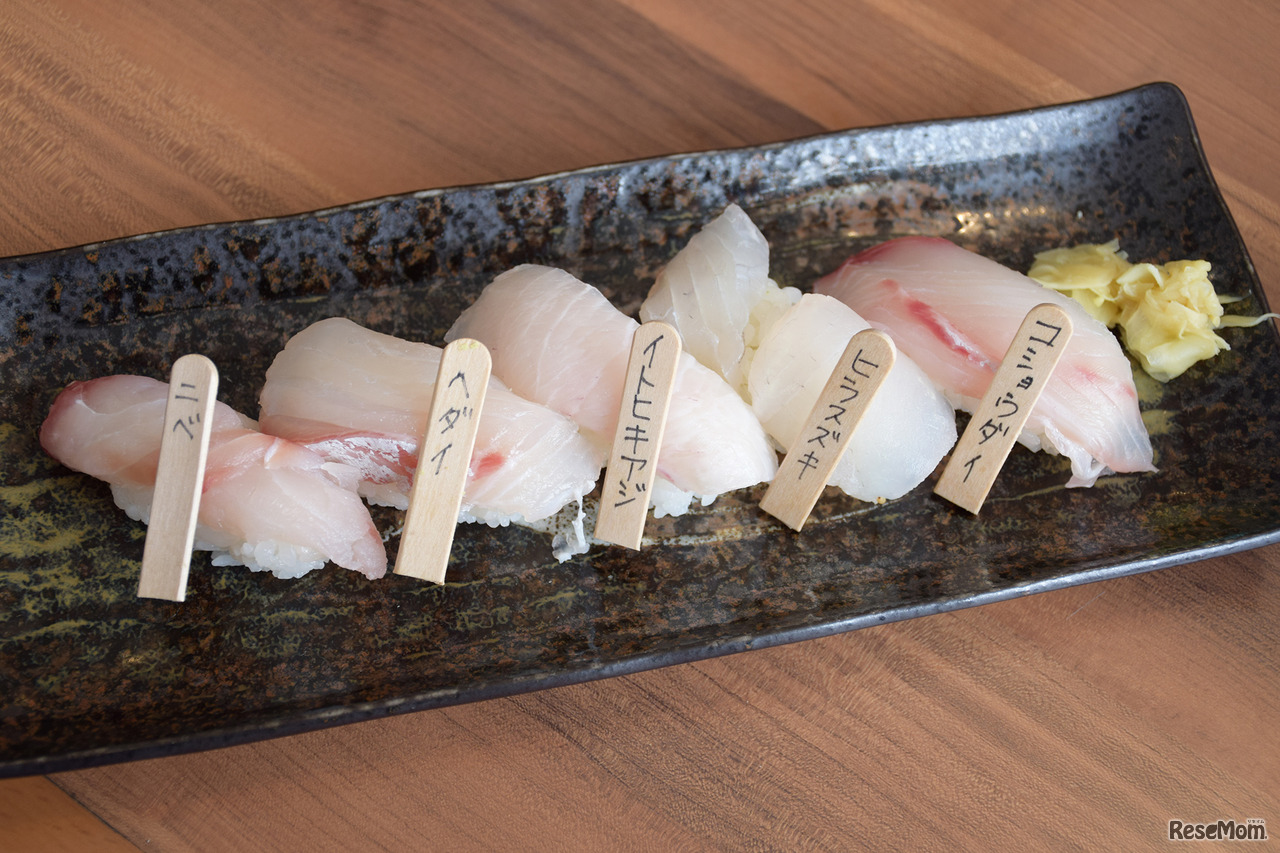 東京大学 柏キャンパス 一般公開2017／大気海洋研究所に隣接されているお寿司屋さん「お魚倶楽部 はま」のスペシャルランチ