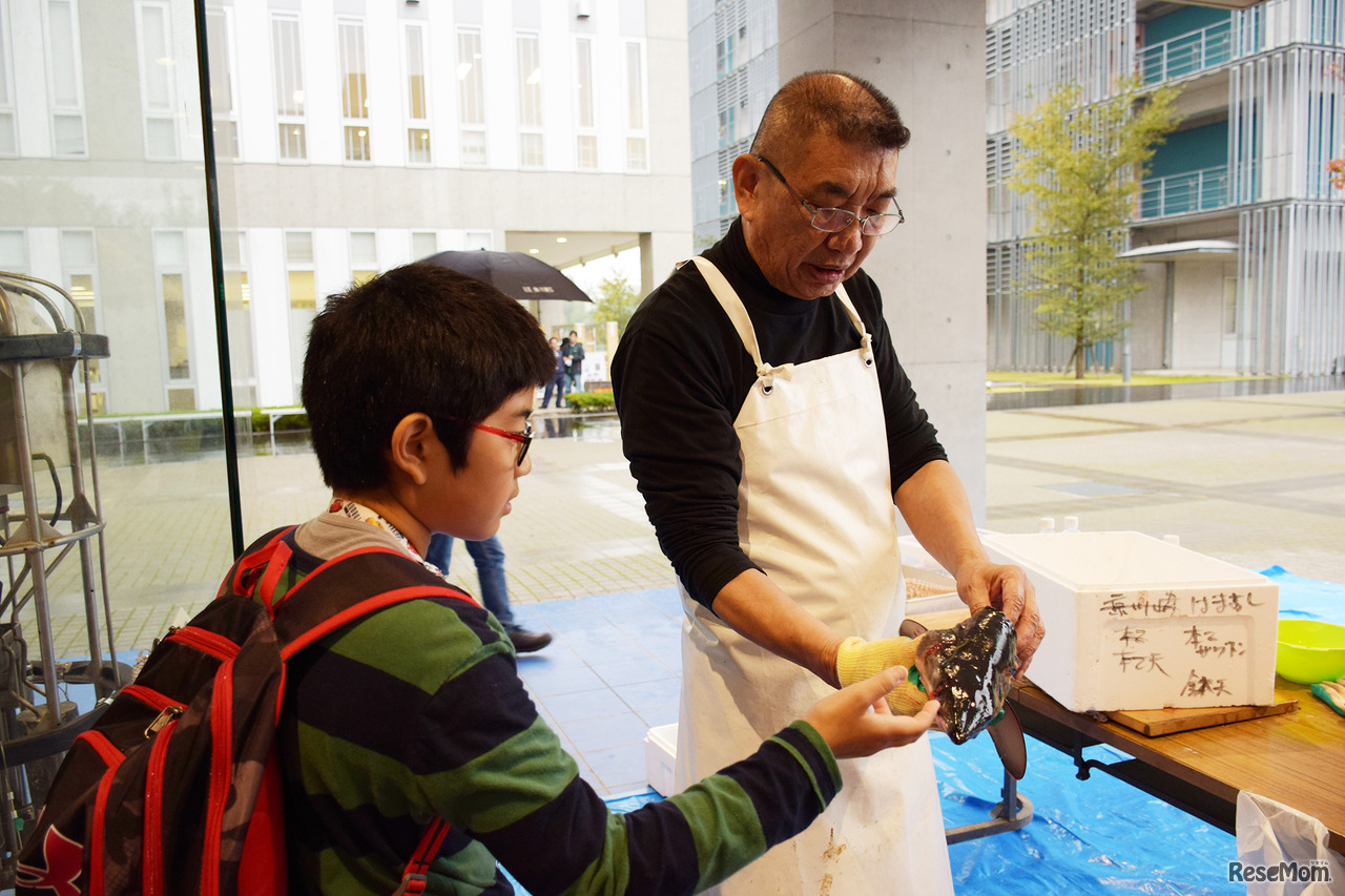 東京大学 柏キャンパス 一般公開2017／大気海洋研究所に隣接されているお寿司屋さん「お魚倶楽部 はま」の前では珍しい魚が多数展示され、マスターによるニタリザメの解体ショーも行われた