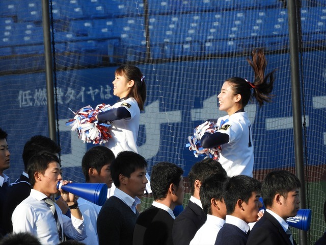 東洋大応援チアリーダー