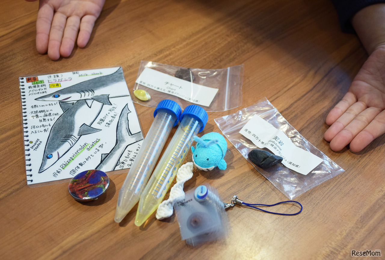 東京大学 柏キャンパス 一般公開2017／さまざまなワークショップ・実験を体験できた