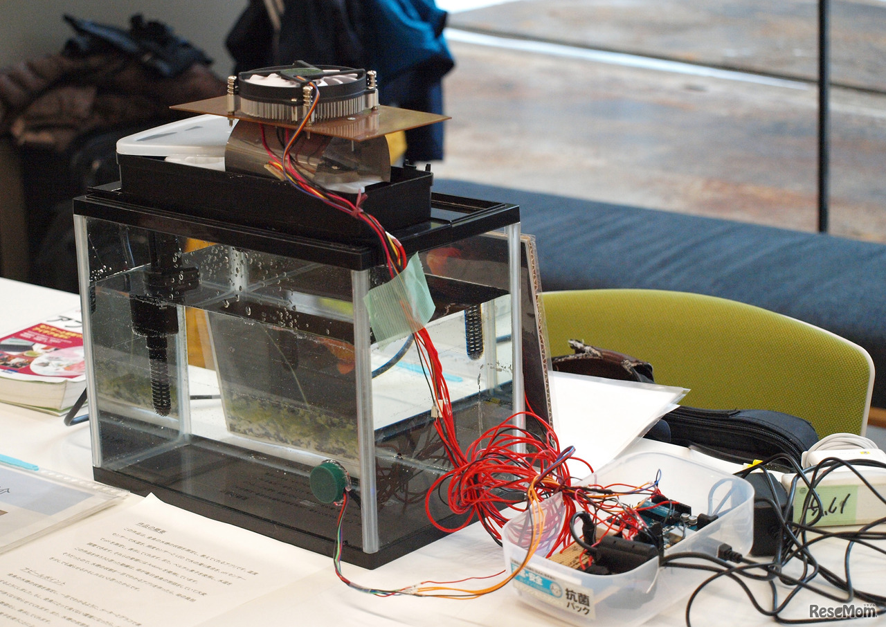 第2回小中学生プログラミングコンテスト／入選作「金魚まもる君」（野口航さん、中2）