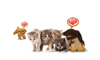 かわいい仔犬3D  