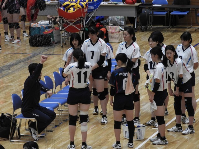 中国学園大ベンチ