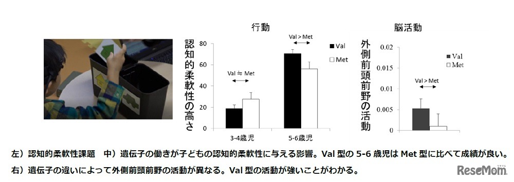 調査方法と調査結果