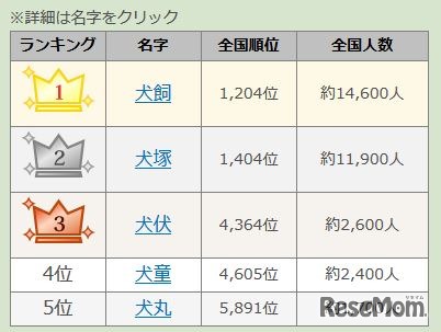 戌年干支にまつわる名字ランキング（1～5位）