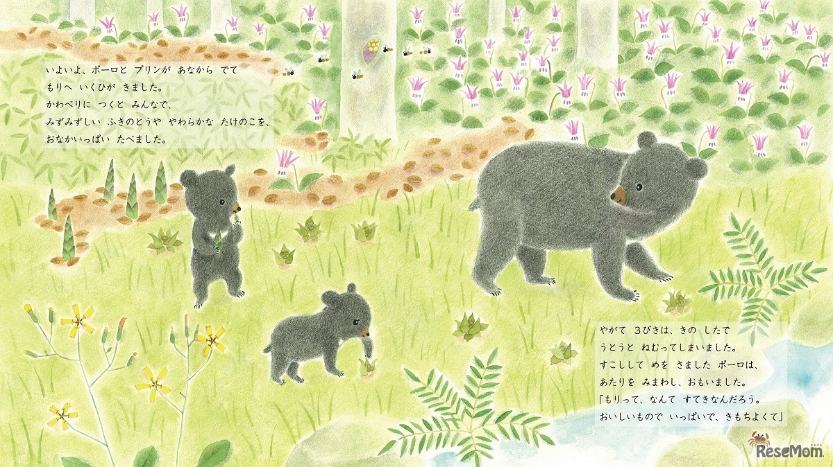 くまの親子の物語「くまのこポーロ」