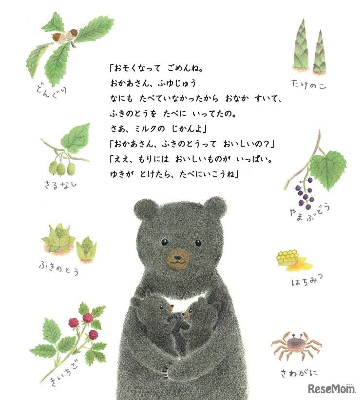 くまの親子の物語「くまのこポーロ」