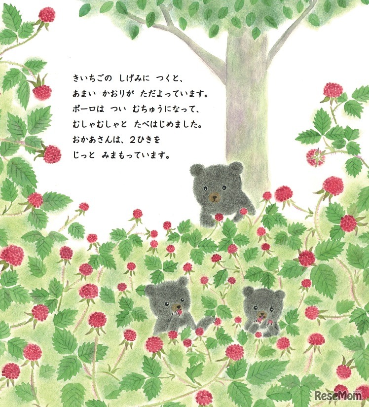 くまの親子の物語「くまのこポーロ」