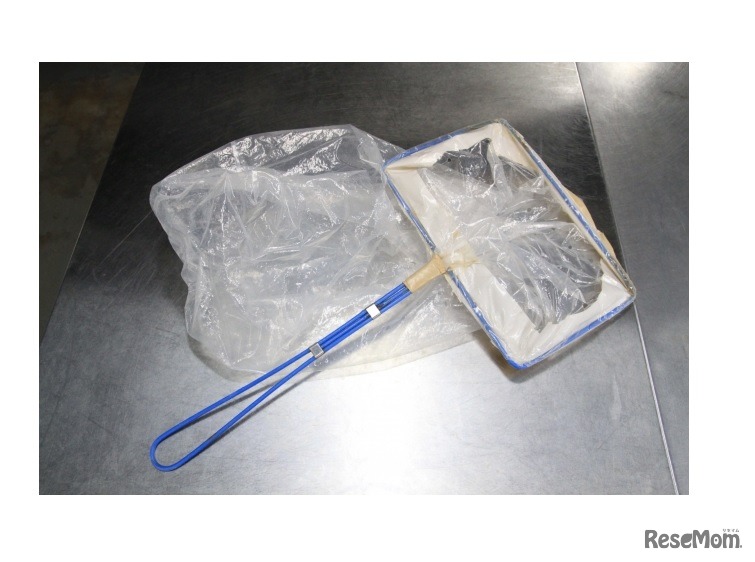 サンシャイン水族館「水槽ピカピカ大作戦」道具ビニダモ