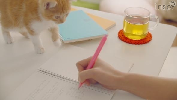 「やわらかそうなノートだニャ…」（動画のワンシーン）