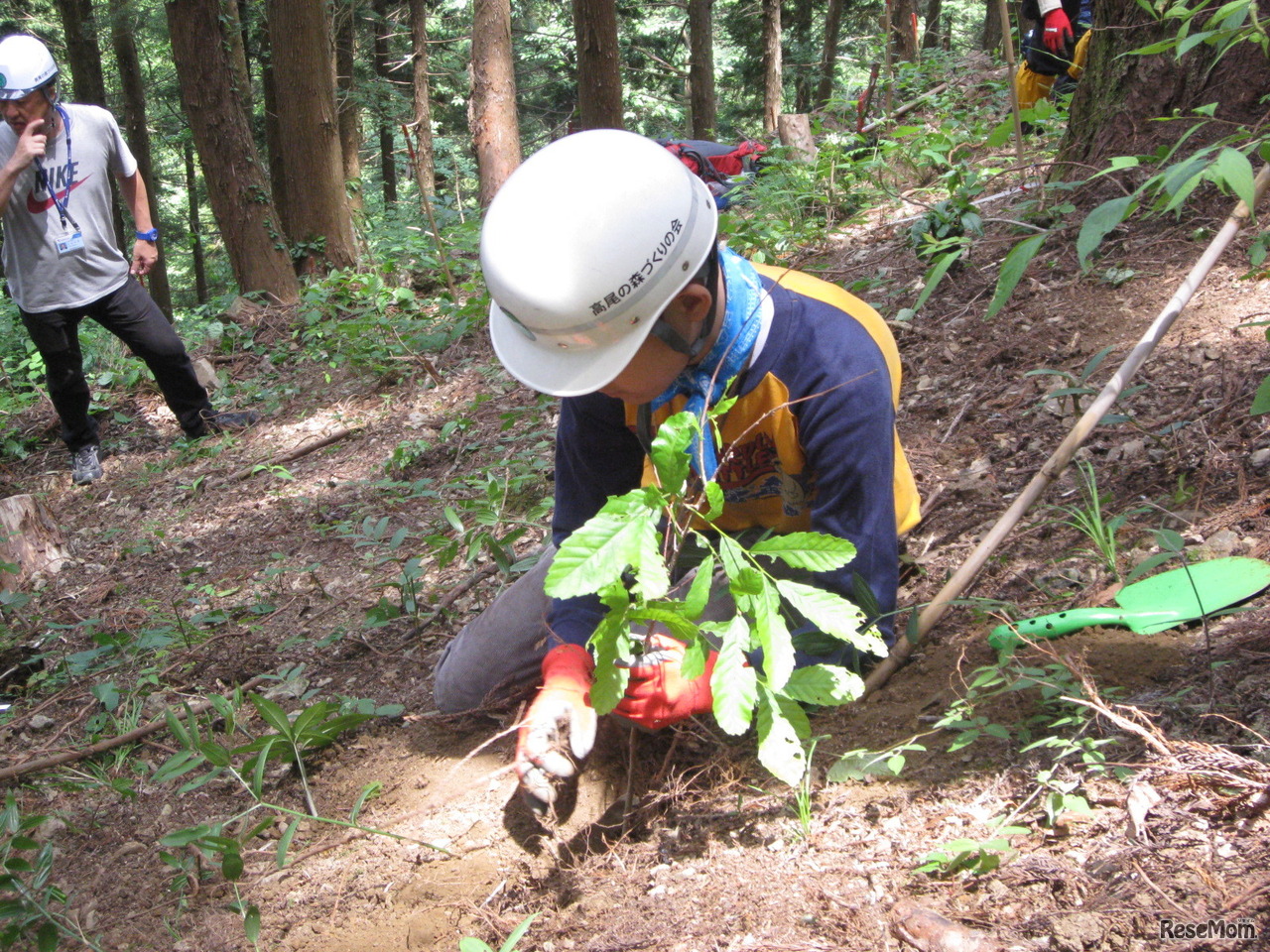 高尾の森 親子森林体験スクール　過去開催時のようす