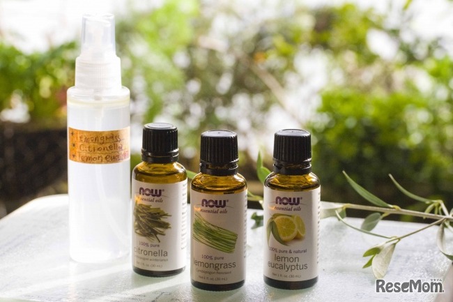 わくわくワークショップ