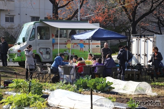 採れたて野菜の試食体験