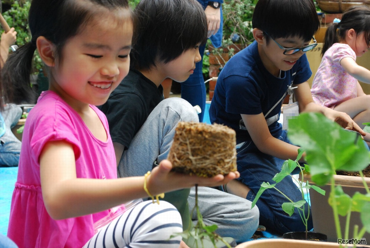アークヒルズ　ARK HILLS KIDS COMMUNITY 「GREEN WORKSHOP」