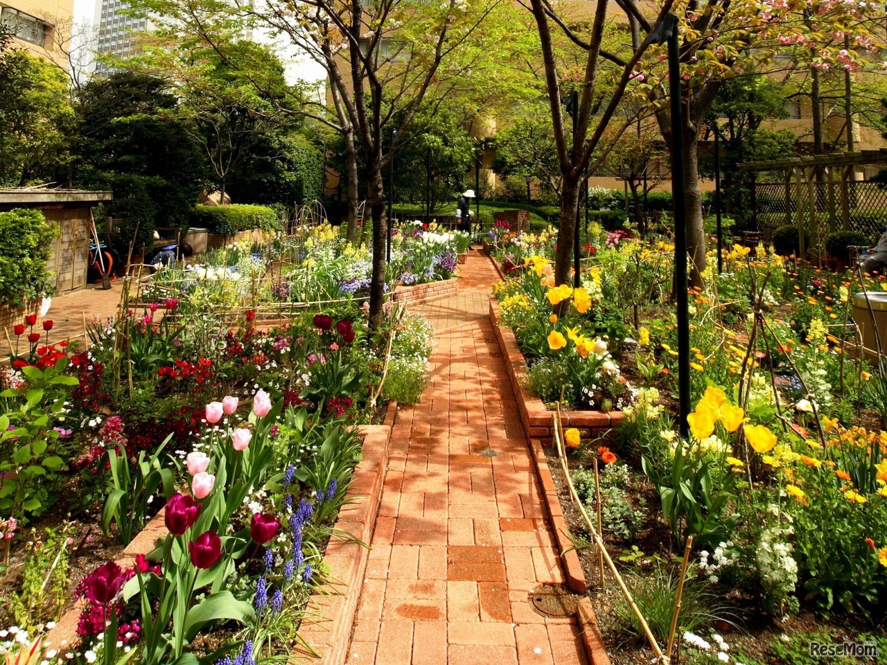 アークヒルズ　ARK HILLS KIDS COMMUNITY 「GREEN WORKSHOP」会場のアークガーデン