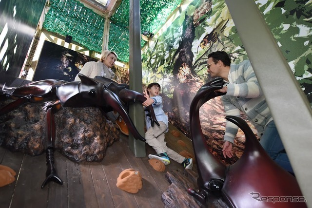 森感覚アスレチック DOKIDOKI